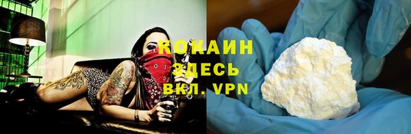 гашик Арсеньев