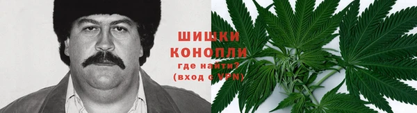 гашик Арсеньев