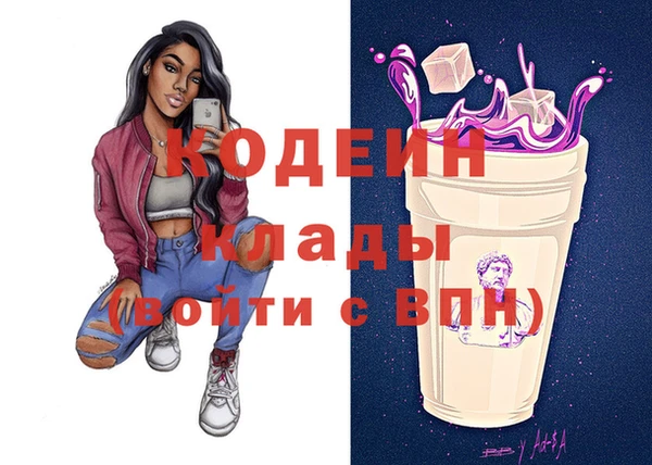 гашик Арсеньев
