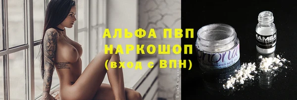 apvp Аркадак