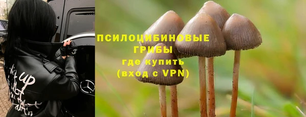 apvp Аркадак