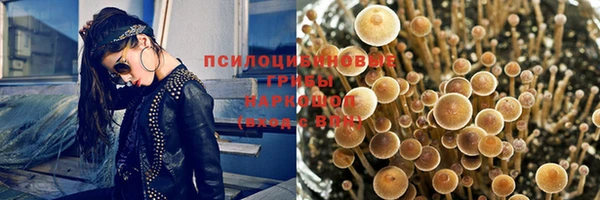 гашик Арсеньев
