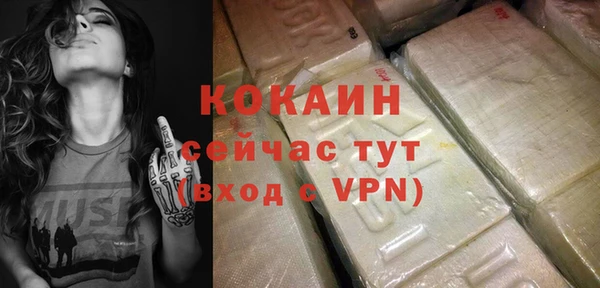 гашик Арсеньев