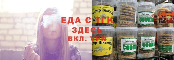 гашик Арсеньев